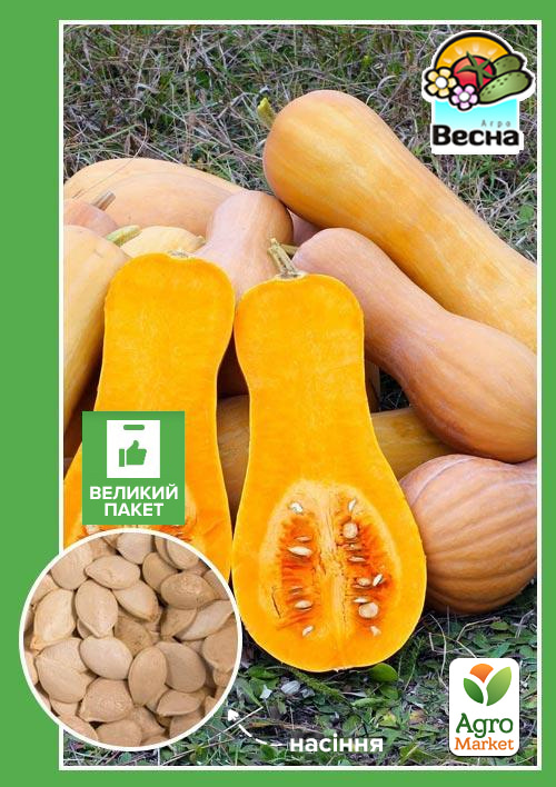 

Тыква Арабатская (Большой пакет) ТМ Весна 4г