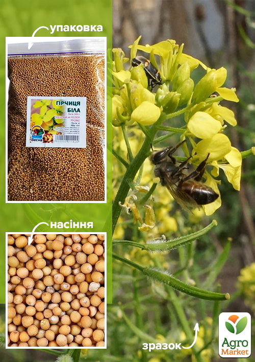 

Гірчиця біла ТМ Весна 500г