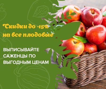 Акция! Саженцы плодовых Акция! Саженцы плодовых