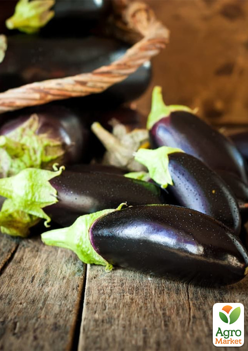 

Комплект насіння баклажанів Багатий вибір 5уп