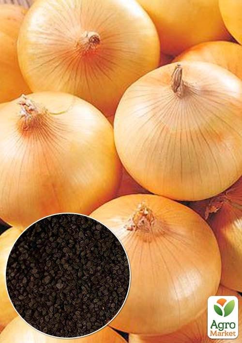 На развес Лук "Буран" ТМ "Весна" цена за 5г