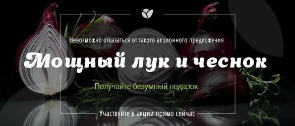 Впервые за долгое время сочный и мощный лук и чеснок с подарком для Вас! Впервые за долгое время сочный и мощный лук и чеснок с подарком для Вас!