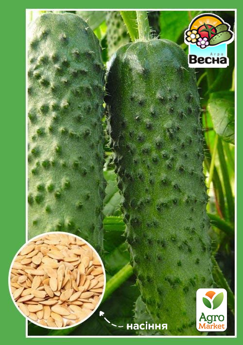 

Огірок Наша Маша F1 ТМ Весна 0.2г