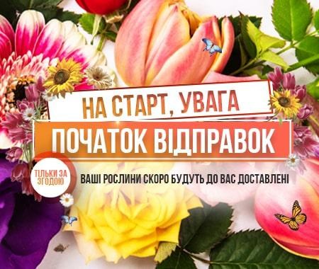 Відправляємо замовлення Сезону Осінь2020 Відправляємо замовлення Сезону Осінь2020