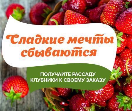 Акция! Сладкие мечты сбываются Акция! Сладкие мечты сбываются