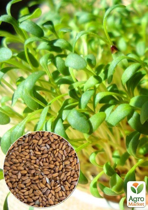 

На вагу Кресс-салат ТМ Весна ціна за 3г