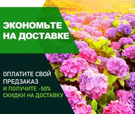 Акция! Внесите предоплату и получите скидку 50% на доставку Акция! Внесите предоплату и получите скидку 50% на доставку