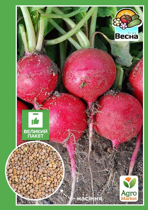 

Редис Сакса (Большой пакет) ТМ Весна 7г