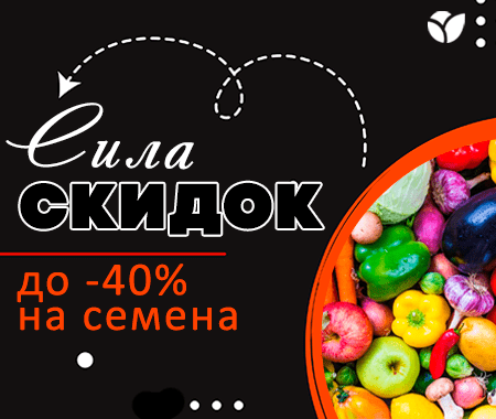Сила скидок 2022 Сила скидок 2022