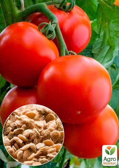 

На развес Томат Дубрава ТМ Весна цена за 2г