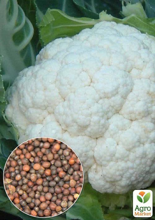 

На вагу Капуста цвітна «Літня альфа ТМ Весна ціна за 1,5г