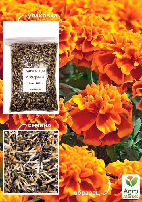 

Бархатцы "София" ТМ "Весна" 100гр