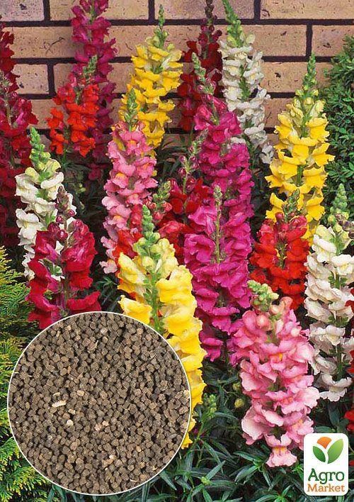 На вагу Левовий зев суміш ТМ "Весна" ціна за 1г