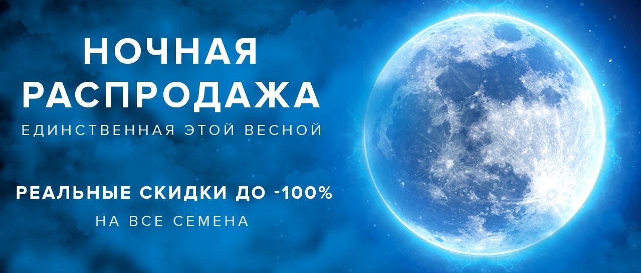 Ночная распродажа: Скидки до -100% на все семена Ночная распродажа: Скидки до -100% на все семена