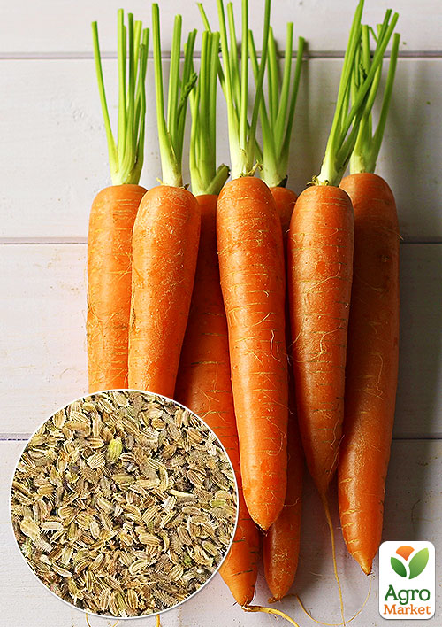 

На вагу Морква Червоний велетень ТМ Весна ціна за 10г