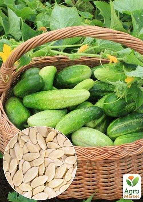 

На развес Огурец Журавленок F1 ТМ Весна цена за 2г