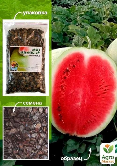 

Арбуз Цельнолистый ТМ Весна 100г
