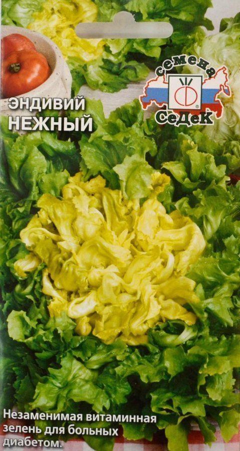 Купить Семена Салатов В Интернет Магазине
