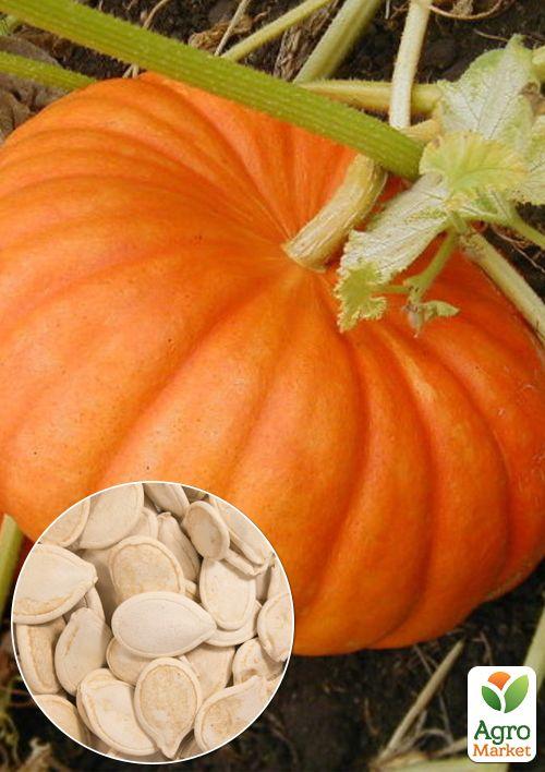 

На вагу Гарбуз Народний ТМ Весна ціна за 10г