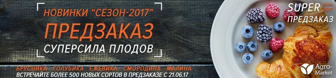 Super предзаказ саженцев "Осень-2017" Super предзаказ саженцев "Осень-2017"
