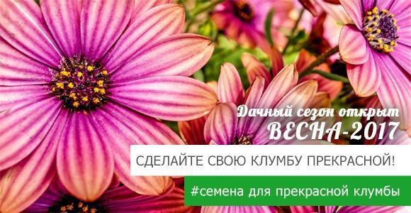 Топ 60 семян для прекрасной клумбы с подарком для Вас Топ 60 семян для прекрасной клумбы с подарком для Вас