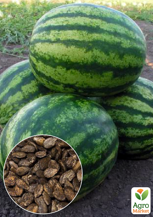 

На вагу Кавун Соренто ТМ Весна ціна за 6г