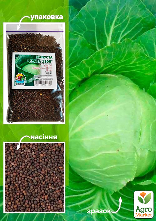 

Капуста Слава 1305 ТМ Весна 100г