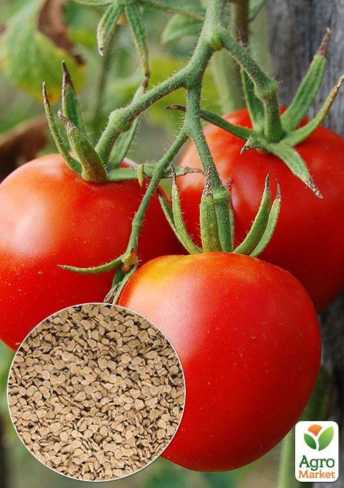 

На развес Томат Санька ТМ Весна цена за 1г