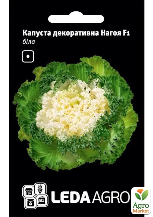 

Капуста декоративная Нагойя F1, белая ТМ Leda Agro 10шт