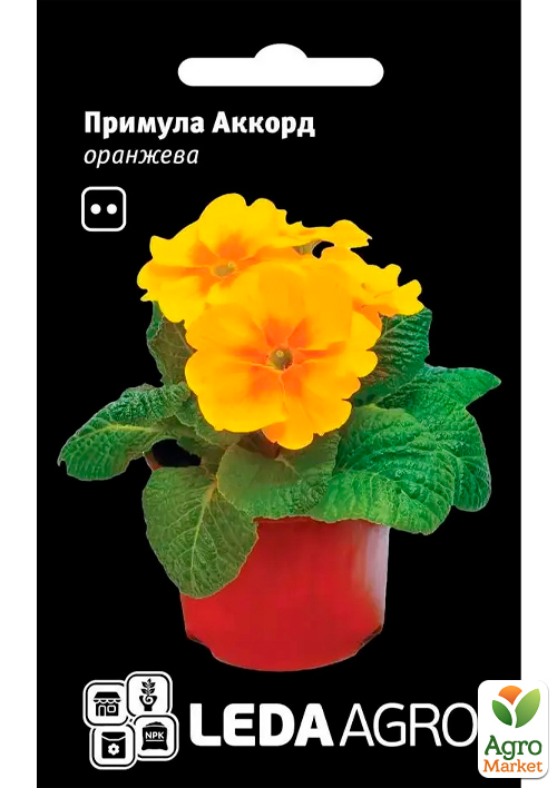 Примула "Аккорд" помаранчева ТМ "Leda Agro" 10шт