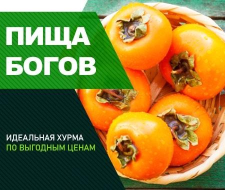 Акция! Скидки на все сорта хурмы Акция! Скидки на все сорта хурмы