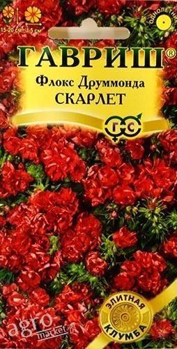 

Флокс Друммонда "Скарлет" ТМ "Гавриш" 8шт