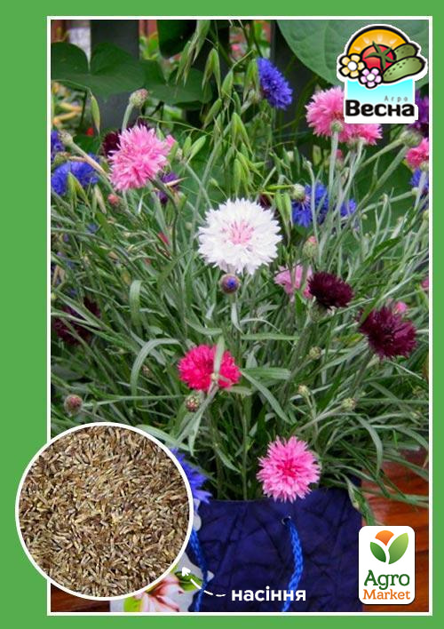 

Василек Махровый (Большой пакет) ТМ Весна 0,5г