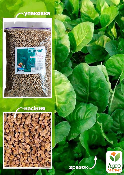 

Шпинат ТМ Весна 500г