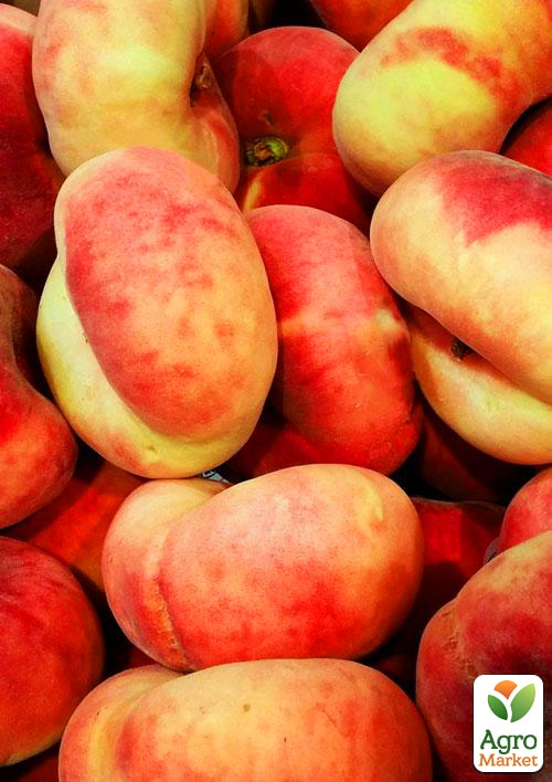 

Інжирний персик Бельмондо (літній сорт, середній термін дозрівання)