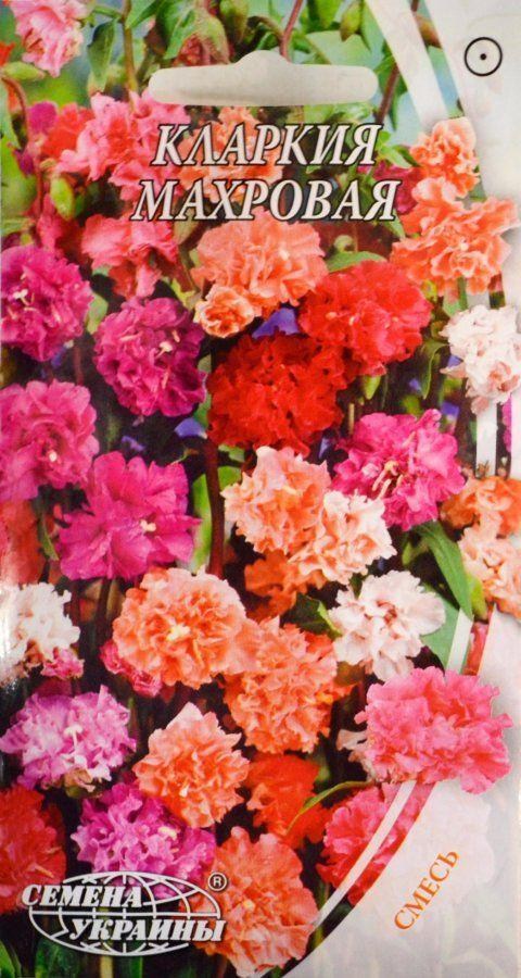 Кларкія махрова ТМ "Насіння України" 0.5г