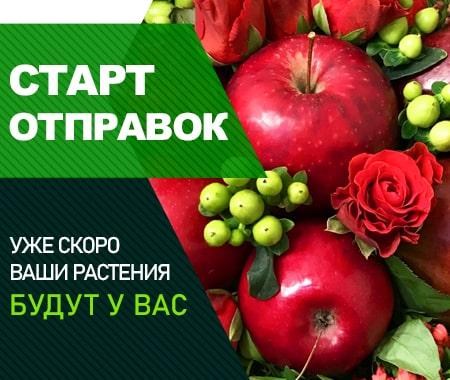 Отправляем заказы Сезона Осень2020 Отправляем заказы Сезона Осень2020