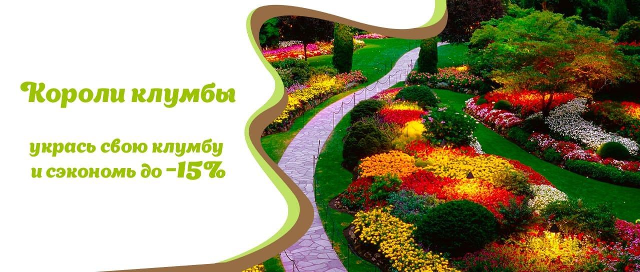 Акция! Короли клумбы Акция! Короли клумбы