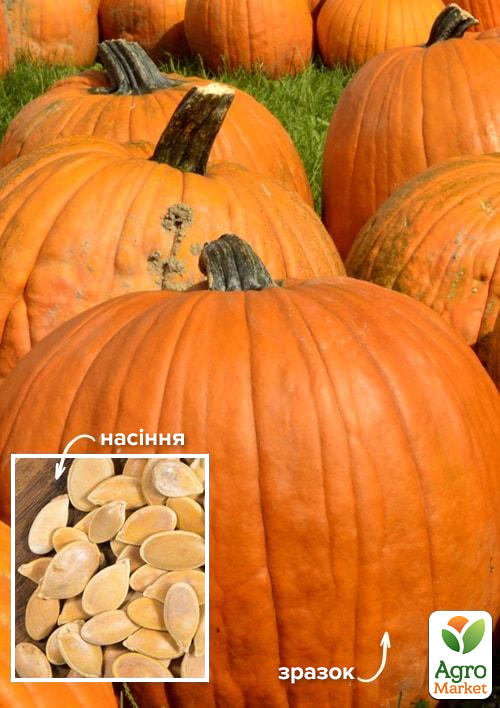 

На вагу Гарбуз Ілля Муромець ТМ Весна ціна за 10г