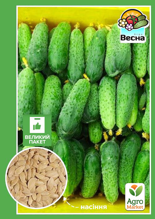 

Огірок Пальчик (Великий пакет) ТМ Весна 2г