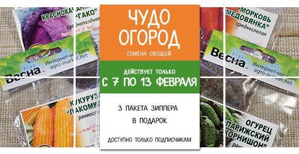 Чудо огород: отменные семена овощей в зиппере в подарок Чудо огород: отменные семена овощей в зиппере в подарок