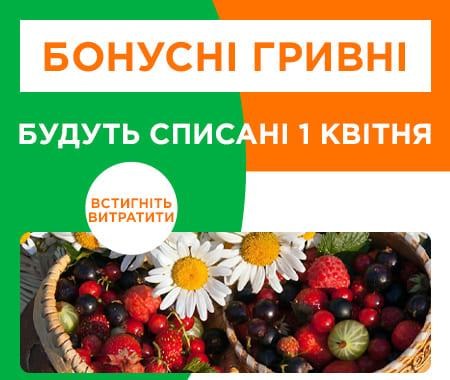 Покваптеся використати бонусні гривні! Покваптеся використати бонусні гривні!