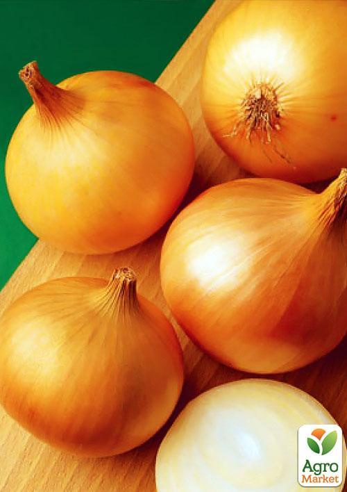 

Цибуля-сіянка 1кг (арбажейка) Халцедон (Україна)