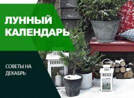 Посевной календарь на декабрь 2020