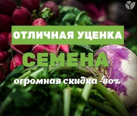 Акция! Семена с огромными скидками -80% Акция! Семена с огромными скидками -80%