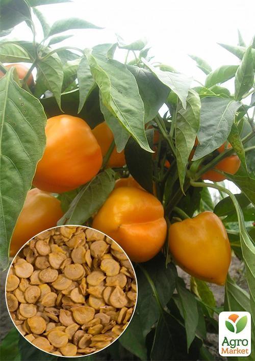 На развес Перец "Золотой фазан" ТМ "Весна" цена за 1г