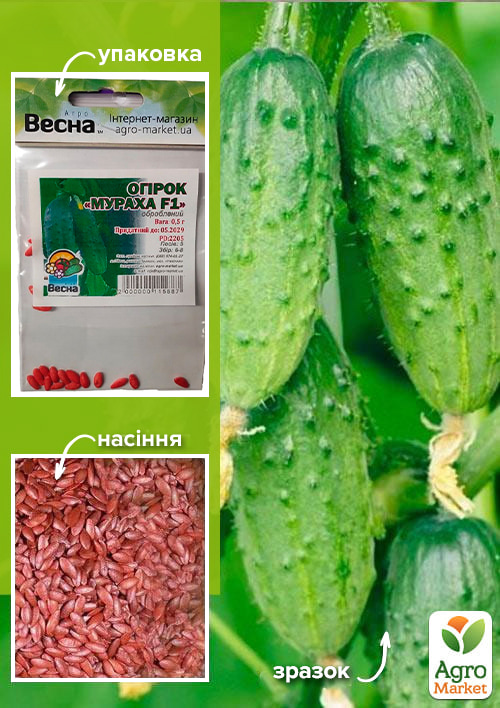 

Огірок оброблений Мураха F1 (Зипер) ТМ Весна 0.5г