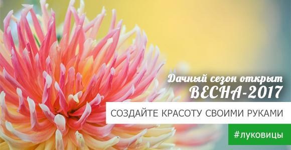 Уникальное предложение на отборные луковицы цветов! Уникальное предложение на отборные луковицы цветов!