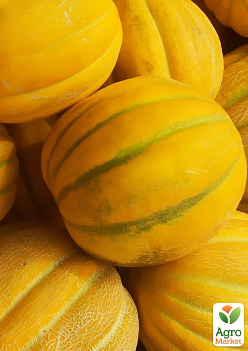 

Комплект семян дыни Элитная 5 уп