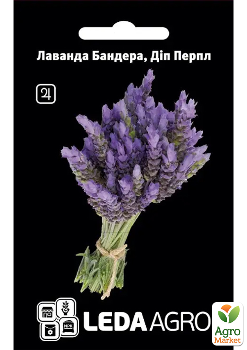 

Лаванда Бандера Дип перпл ТМ Leda Agro 5шт